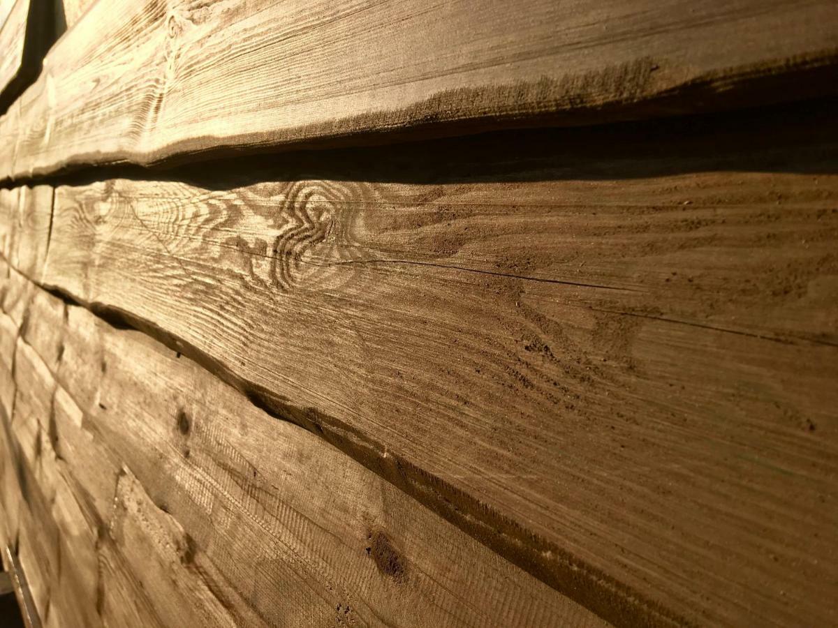 Holzhaus Trollbluemchen Am Wald Und See ノイルピーン エクステリア 写真