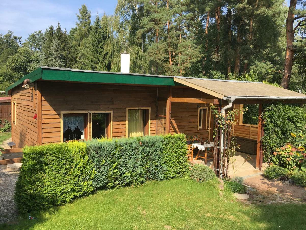 Holzhaus Trollbluemchen Am Wald Und See ノイルピーン エクステリア 写真
