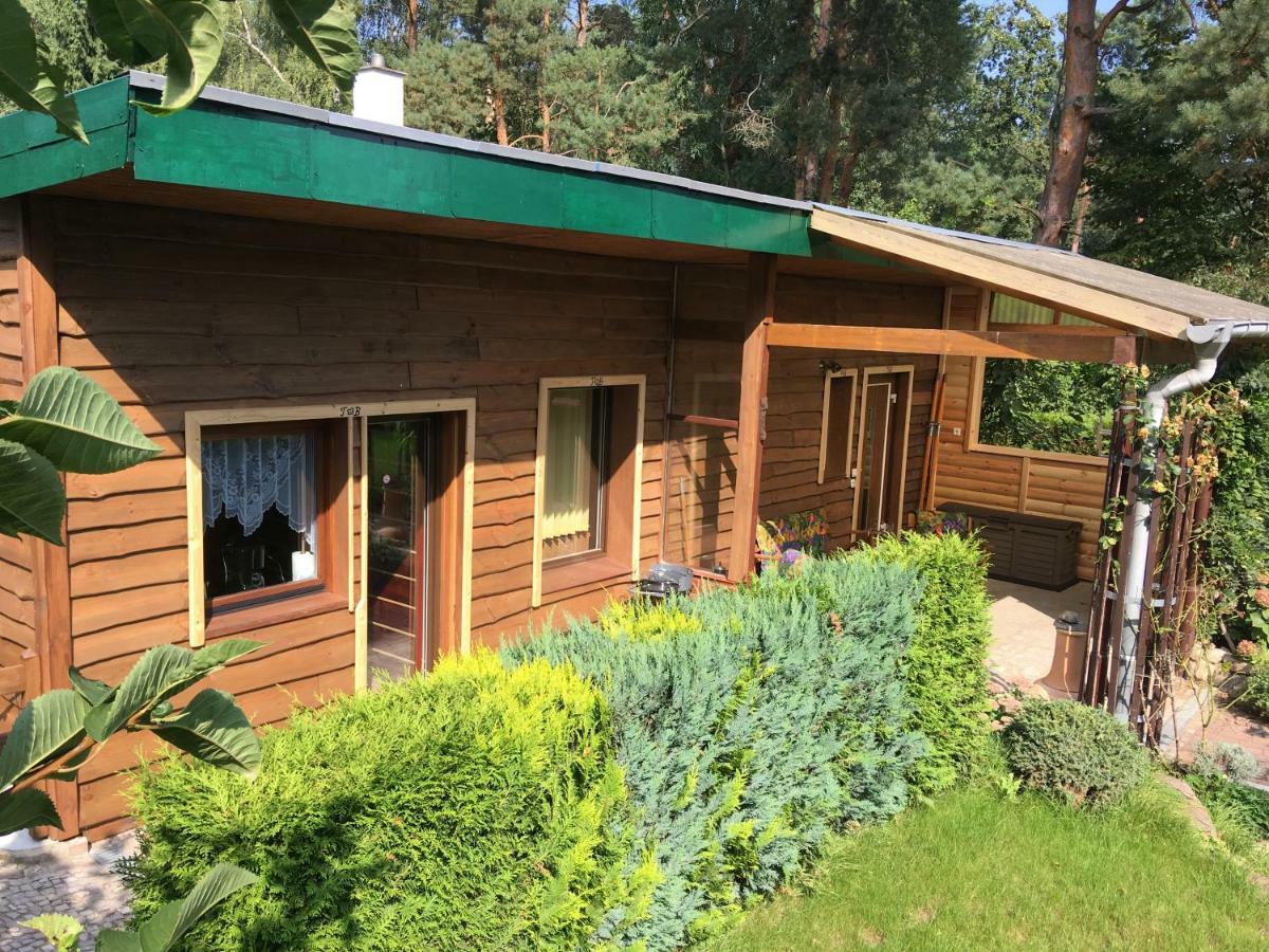 Holzhaus Trollbluemchen Am Wald Und See ノイルピーン エクステリア 写真